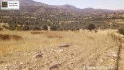 Sivas Kreta, Sivas, bebaubares Grundstück 18.000qm mit Berg und Fernblick Grundstück kaufen